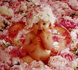 trop beau 